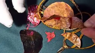 HOW LIVING PLANTS IN METAL!? HOW IS THIS POSSIBLE!?