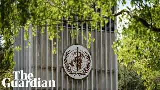Coronavirus: WHO holds briefing on latest drug trial findings - watch live