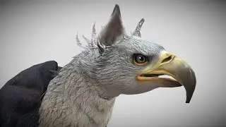 Gryphon (Black and White) ∣ ESO &rsaquo; Creatures &rsaquo; Monsters