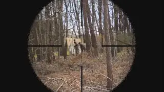 [AIRSOFT] Polarstar DMR Scope Cam 400 Fps #3