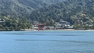 Last day at Hiroshima | japan travel vlogs | Miyajima bullet train japanese wedding and much more