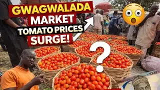 Gwagwalada Market Food Prices Today | Rice, Beans, Yam & Tomatoes (2026)