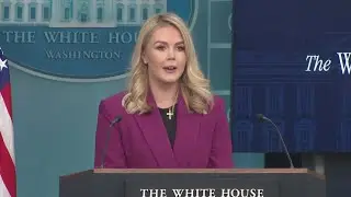 White House Press Secretary Karoline Leavitt announces pregnancy