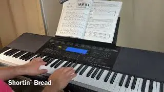 Lesson 12 | Beginner Piano Journey – Learning from Scratch on Casio Keyboard