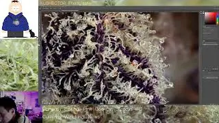 Photography - Capturing Pics of Cannabis by Stoneys BC + Unboxing of Photo Turntable