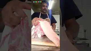 camel roast#short#
