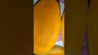 #ripe mango very sweet#shortvideoviralytc