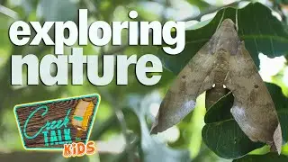 CreekTALK Kids Exploring Nature