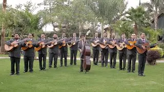 Y volveré