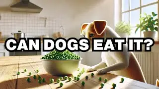Can Dogs Eat Peas? Explained