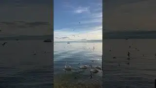 Chillin by the lake!