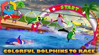 Dolphin Racing 3D Android Gameplay HD