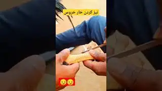 آموزش تیز کردن خار خروس لاری