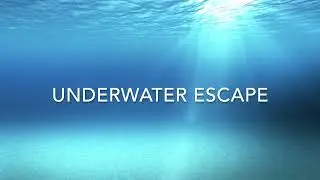 Relaxing Underwater Sounds - Gentle Ocean Acoustics Nature Sounds - 1 Hour, No Bubbles, No Breathing