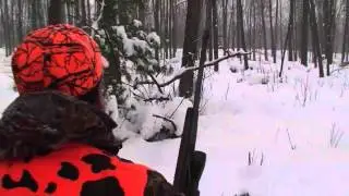 Michigan Bull Elk Hunt   Steve Damico