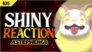 Shiny Yamper appears while hunting in the crown tundra!