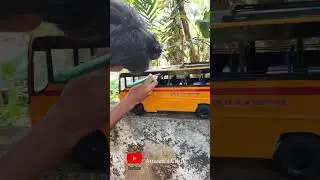 My School @kkmhsscheekode5320 Bus miniature making&hearts;️#ameenscraft #kkmhss #miniaturebus #bus #kerala