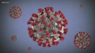 Do health leaders monitor those who've been told to self-quarantine?