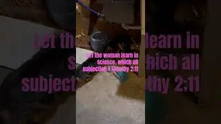 Но я не позволяю женщине учить😇