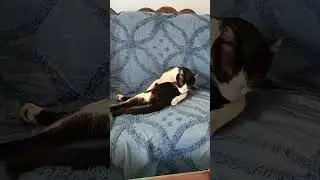 #cleaning🧼# 🛁no bath# shorts# youtubeshort#