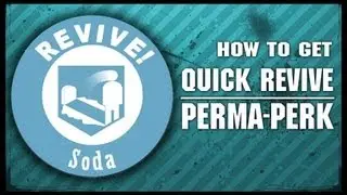 Quick Revive Perma-Perk: Call of Duty: Black Ops 2 Zombies