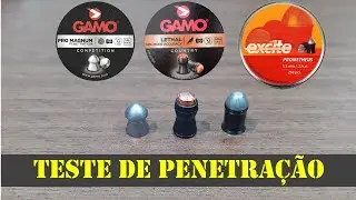 Teste de penetração com H&N Prometheus, Gamo Lethal e Pro Magnum 4.5