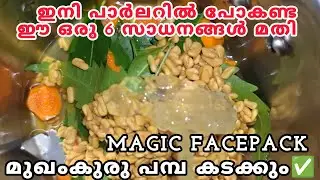 മുഖത്തെ കറുത്ത പാടുകളും മുഖക്കുരുവും മാറ്റാൻ ഇത് മാത്രം മതി😱 | Homemade Face Pack for Glowing Skin |