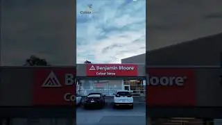 Your Go-To Benjamin Moore Dealer in Scarborough &ndash; Colour Sense!