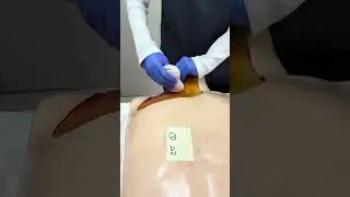 cv 研修医加藤