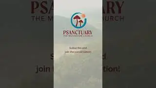 Authentic Relating as a Community