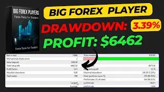 Big Forex Players EA Review | MT4 Multi-Strategy Engine for Major Forex Pairs & Gold