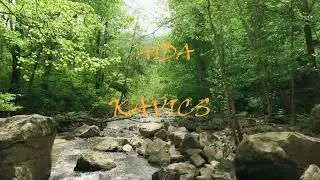 AIDA - Kavics