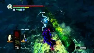 Dark Souls: Black Knight Greataxe Parry