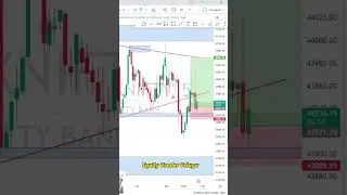 Target Hit 1:4