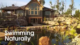 Quiet Nature - Swimming Naturally