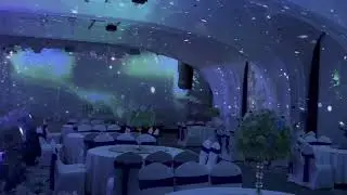 Immersive Wall Projection, Wedding Events Projectors