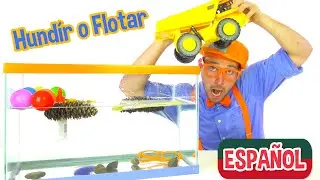 Blippi Español Hundír o Flotar | Experimentos Científicos Divertidos para Niños | Videos Educativos