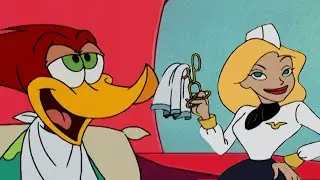 Woody Travels First Class  | Woody Woodpecker
