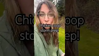 Stay safe out there! #stormprep #chickens #chickencoop