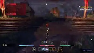 NRG Trial ESO MAIN TANK POV