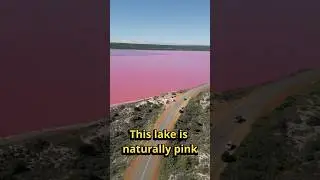 Why Is This Lake Bright Pink? 🌸🤯