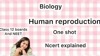 Human reproduction class 12 biology one shot neet boards ncert cbse detailed ncert explained 