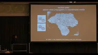 IAM 2025, Nikta Fakhri, Nonreciprocal Living Matter