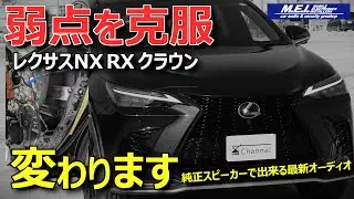 【マクレビ超えのサラウンド？】プロが教えるレクサスNX静音化とリアスピーカー活用術 | ARC AUDIO BLACKBIRD イマーシブオーディオ