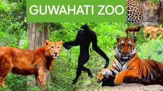 GUWAHATI ZOO,The best zoo in India ,ASSAM @Explorer-entertainerTia-1176