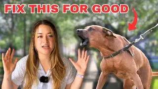 How To STOP Leash Reactivity&hellip; Without Force!