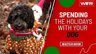 Survey finds more people would rather spend holidays with their dog