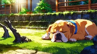 en Bonsai Garden: Meditative Lo-Fi for Inner Peace | Sound Sanctuary