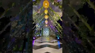 Experience the perfect ambiance with our stunning bamboo and light walkway decor.