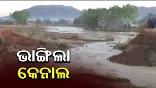 Canal Bridge Collapses In Jeypore, Acres Of Farmland Submerged || KalingaTV